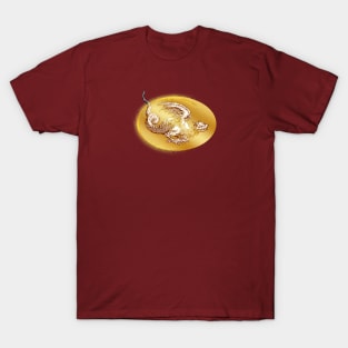 DRAGON EGG T-Shirt